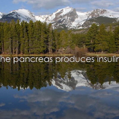 1920 x 1080 HD Wallpapers 3207